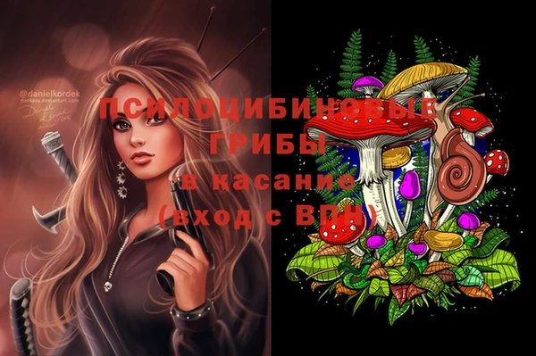твердый Арсеньев