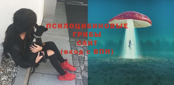 мяу мяу мука Армянск