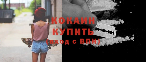 твердый Арсеньев