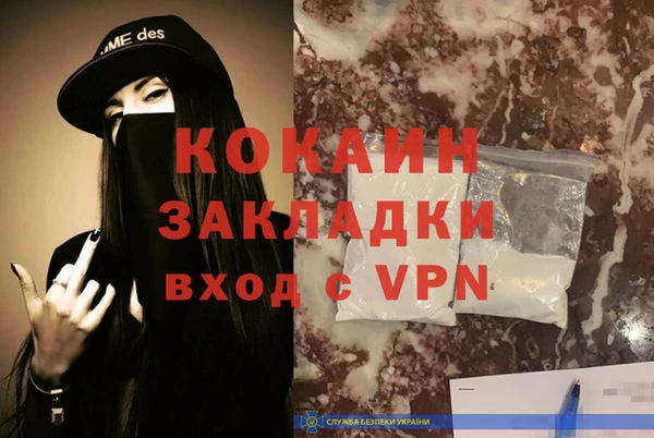 твердый Арсеньев