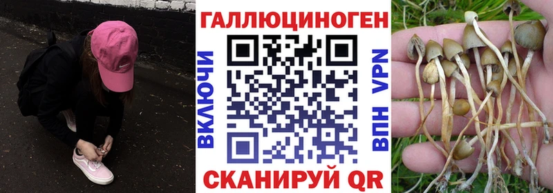 Купить где  Сасово  Галлюциногенные грибы прущие грибы 